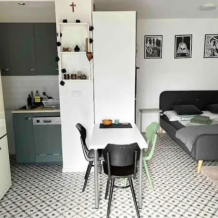 Apartament Garsonka V Srdci Vysociny Żdżar nad Sazawą Zewnętrze zdjęcie