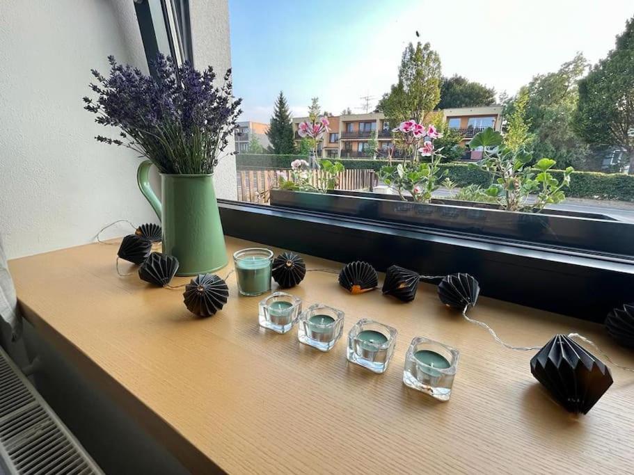 Garsonka V Srdci Vysociny Apartment Zdar Nad Sazavou